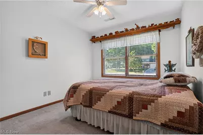 341 W Cedar Street, Jefferson, OH 44047 - Photo 20