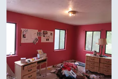 1393 E 89th Street, Loveland, OH 44106 - Photo 14