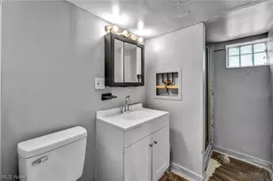 3069 E 67th St, Loveland, OH 44127 - Photo 40
