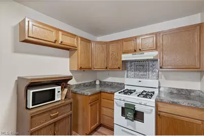 223 Hawk Avenue, Akron, OH 44312 - Photo 10
