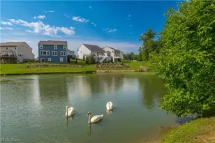 978 Hawkin Ln, Aurora, OH 44202 - Photo 44