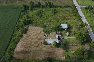 8725 State Route 7, Williamsfield, OH 44093 - Photo 6