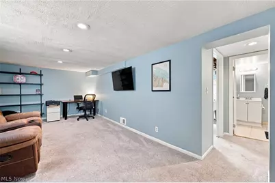 14521 Rainbow Avenue, Loveland, OH 44111 - Photo 30