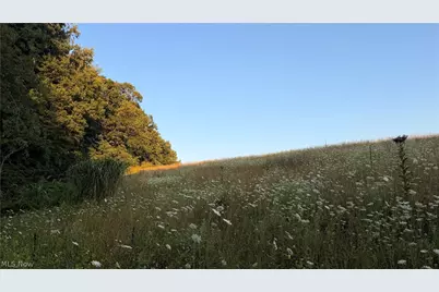 Co. Rd. 2575, Loudonville, OH 44842 - Photo 26