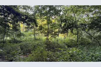 Co. Rd. 2575, Loudonville, OH 44842 - Photo 14