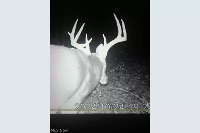 Co. Rd. 2575, Loudonville, OH 44842 - Photo 38