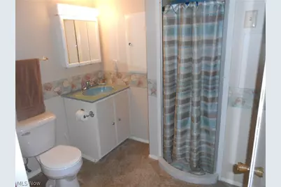 475 Dansel Street, Kent, OH 44240 - Photo 30