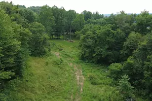 3885 Township Rd 197 NE, Crooksville, OH 43731 - Photo 4