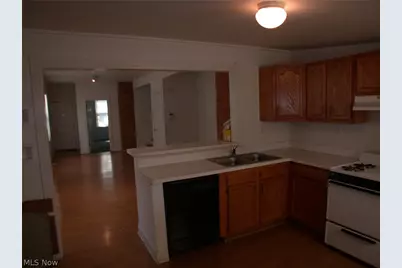 1177 E 60 Street, Loveland, OH 44103 - Photo 14