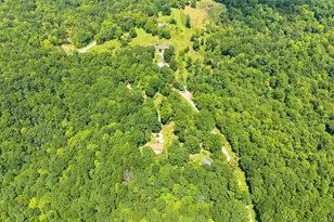 1275 Noe Hill Rd, Whipple, OH 45788 - Photo 40