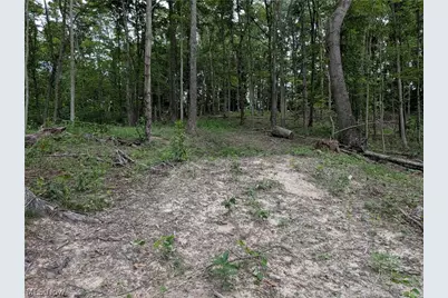 35401 Moore Road, Logan, OH 43138 - Photo 10
