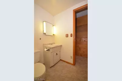 1742 Shaw Avenue, Akron, OH 44305 - Photo 26