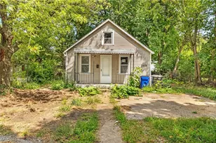 2408 Castle Ave, Loveland, OH 44113 - Photo 2