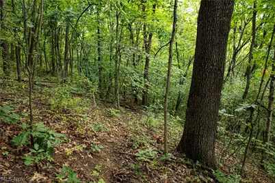 11005 Crawford Lane, New Concord, OH 43762 - Photo 26