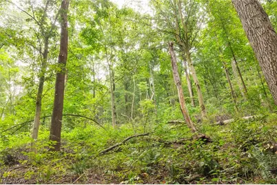 15931 Stocker Ridge Road, Newcomerstown, OH 43832 - Photo 46