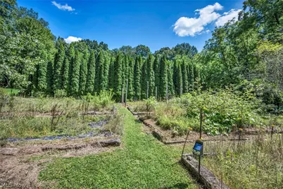 3573 Medina Line Road, Richfield, OH 44286 - Photo 38