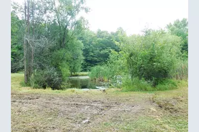 1577 Tompkins Road, Jefferson, OH 44032 - Photo 6