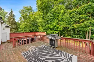 1010 Partridge Dr, Wadsworth, OH 44281 - Photo 6