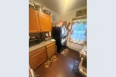 13428 Darley Avenue, Loveland, OH 44110 - Photo 10
