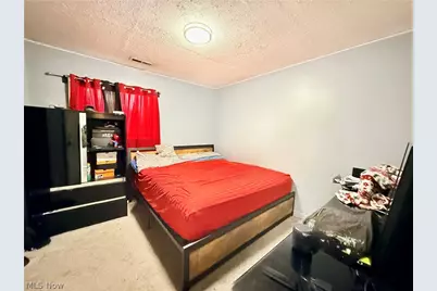 11808 Leeila Avenue, Loveland, OH 44135 - Photo 10