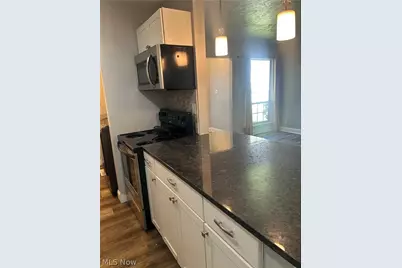 8152 Puritan Drive #44-A, Mentor, OH 44060 - Photo 4