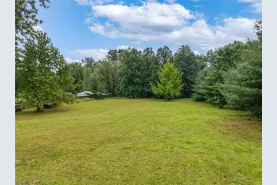 8010 Buffham Road, Lodi, OH 44254 - Photo 24