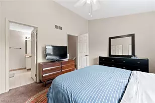 841 Overlook Ridge Dr, Loveland, OH 44109 - Photo 16