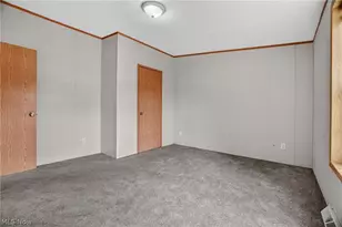 3583 Austin Rd, Geneva, OH 44041 - Photo 30
