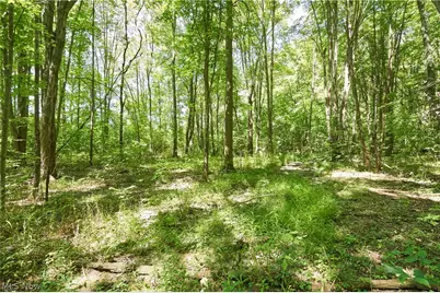 3265 Ridgewood Road, Fairlawn, OH 44333 - Photo 20