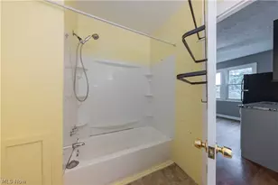 827 Starkweather Ave, Loveland, OH 44113 - Photo 12