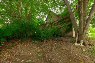 823 Starkweather Ave, Loveland, OH 44113 - Photo 1