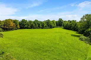 43238 Sugartree-Cranesnest Rd, Woodsfield, OH 43793 - Photo 44