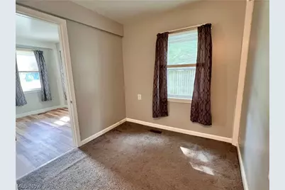 46 S River Street, Wakeman, OH 44889 - Photo 10