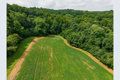 40977 Township Road 64B, Dresden, OH 43821 - Photo 42