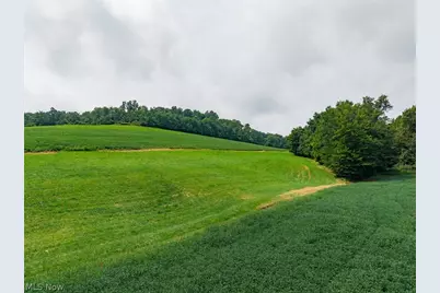 40977 Township Road 64B, Dresden, OH 43821 - Photo 22