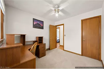 311 Young Drive, Lodi, OH 44254 - Photo 34