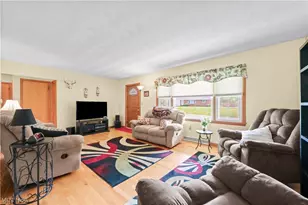 311 Young Dr, Lodi, OH 44254 - Photo 10