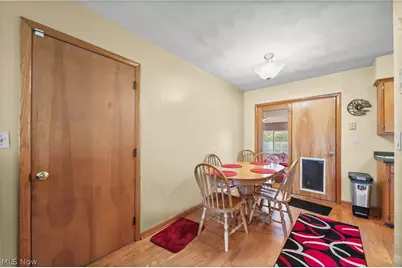 311 Young Drive, Lodi, OH 44254 - Photo 14