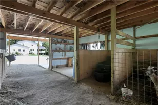 50023 Glady Rd, Summerfield, OH 43788 - Photo 38
