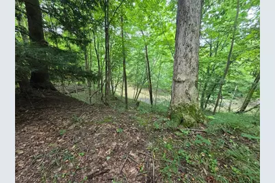 18985 State Route 58, Wellington, OH 44090 - Photo 28