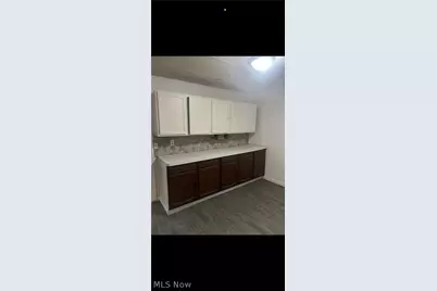 3003 Nursery Avenue, Loveland, OH 44127 - Photo 2