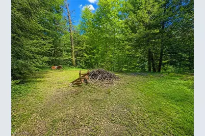 7130 Leroy Thompson Road, Thompson, OH 44086 - Photo 46
