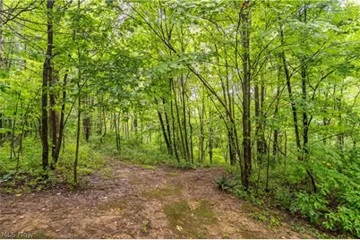 17881 Horseshoe Bend Road E, Newcomerstown, OH 43832 - Photo 20