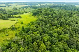 17881 Horseshoe Bend Rd E, Newcomerstown, OH 43832 - Photo 40