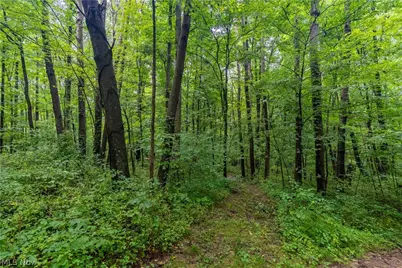 17881 Horseshoe Bend Road E, Newcomerstown, OH 43832 - Photo 24