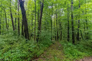 17881 Horseshoe Bend Rd E, Newcomerstown, OH 43832 - Photo 24