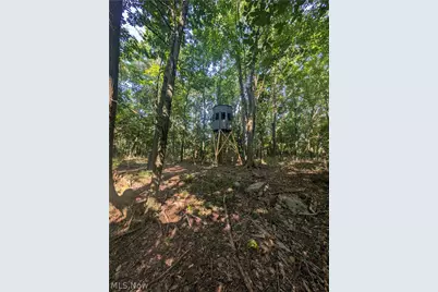 County Road 33, Warsaw, OH 43844 - Photo 6
