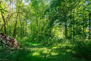 12496 Udall R Rd, Hiram, OH 44234 - Photo 42