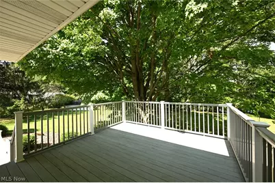 105 Grove Street, Lodi, OH 44254 - Photo 20