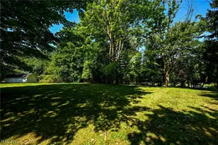 105 Grove St, Lodi, OH 44254 - Photo 4
